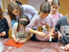 BZ_23_24_012 BZ_23_24_012