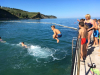 izola_16_17_137 izola_16_17_137