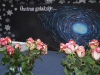 valeta_19_103