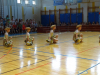 zpr_16_17_136 zpr_16_17_136