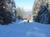 zsn_03_dan_13